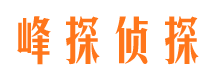 金凤寻人公司